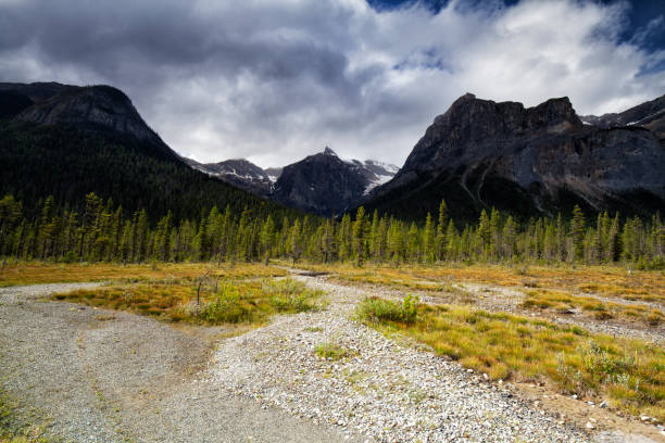 Mountain Majesty - Summer Vistas of Lake Louise’s Vibrant Waters.