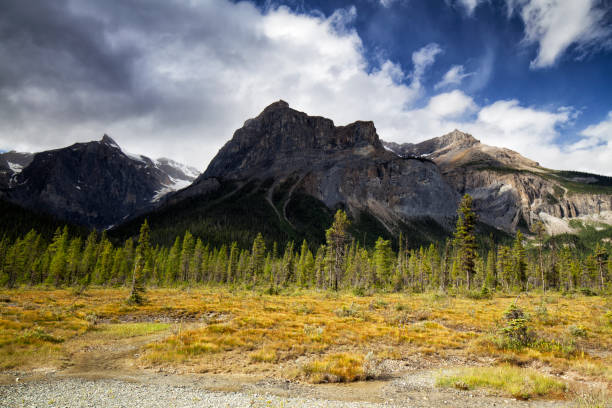 istock Emerald lake, Yoho National Park, BC, Canada 1266887646