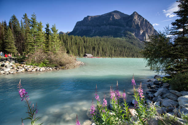 Tourists at Lake Louise in summer in Banff National Park, AB, Canada