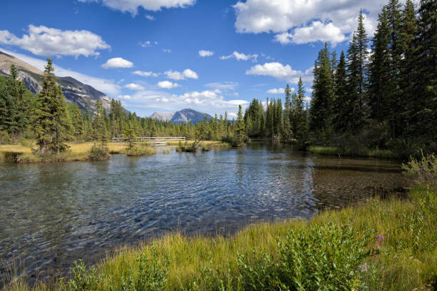 istock Policeman's Creek in Canmore, Alberta, Canada 1266892162