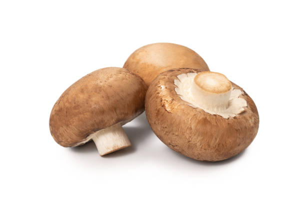 istock Tasty mushroom isolated on white background. 1266896587