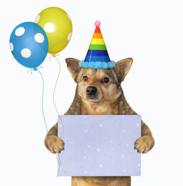 istock Dog with blank holiday poster 1266901436