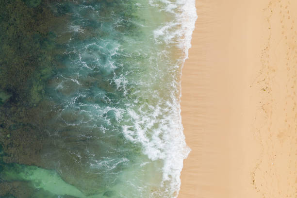 istock Aerial view of sandy beach and ocean with waves 1266902348