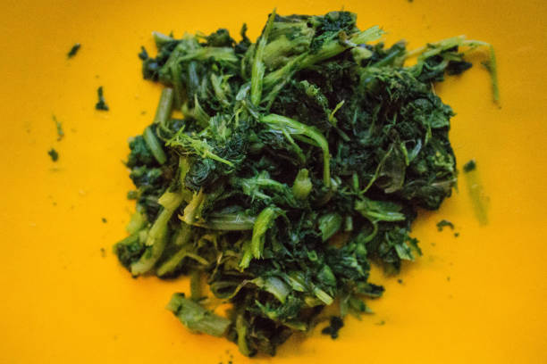istock Italian vegetable called 