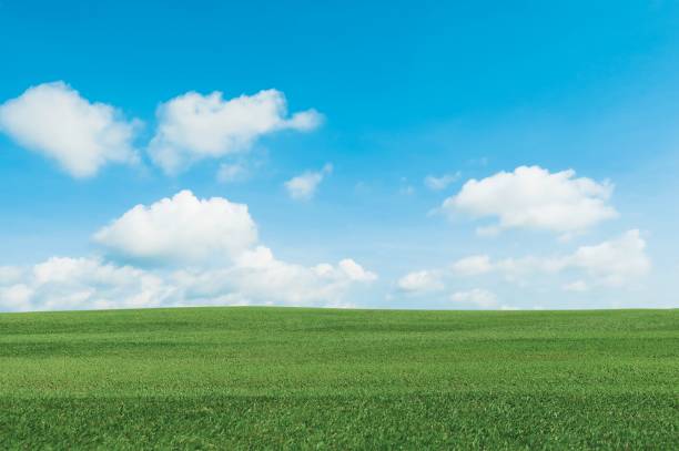 istock Green lawn and blue sky 1266906344