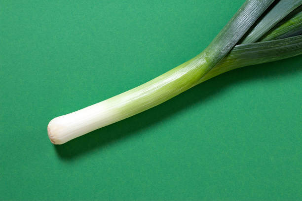 ripe leek with roots isolated on white background