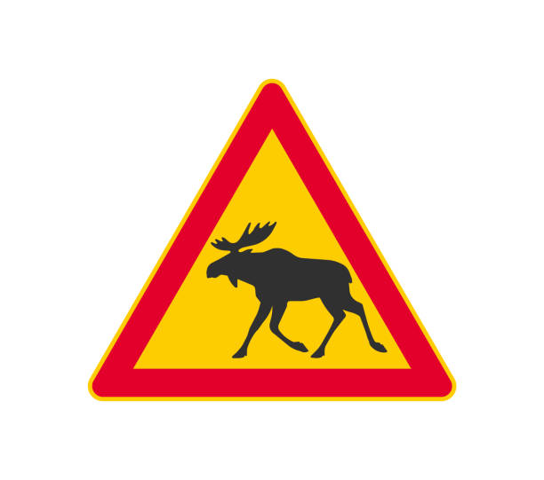 istock Moose Crossing Warning icon symbol. Elk warning logo sign. Vector illustration image. Isolated on white background. 1266911585
