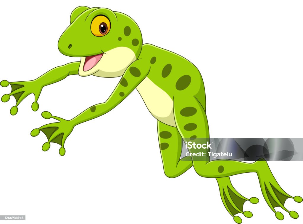 Ilustración de Dibujos Animados Rana Divertida Saltando Sobre Fondo Blanco y más Vectores Libres de Derechos de Rana - iStock Ilustración de Dibujos Animados Rana Divertida Saltando Sobre Fondo Blanco y más Vectores Libres de Derechos de Rana - iStock