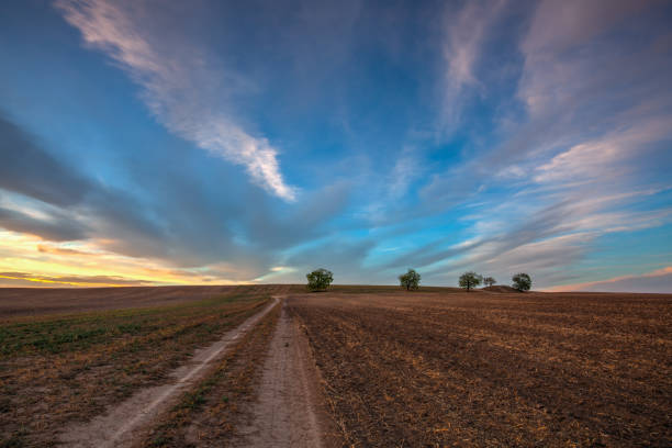 istock On the dirt road between empty field after harvesting in summer evening. 1266928915