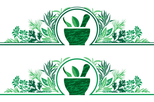 Herbal Cooking Frame Border Decorative herbal cooking page header design with a central mortar and pestle and herbs either side. Two slightly different versions. Isolated. chef borders stock illustrations