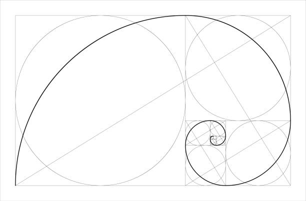 golden ratio geometrisches konzept. fibonacci spirale. vektor-illustration. - black gold abstract spiral stock-grafiken, -clipart, -cartoons und -symbole