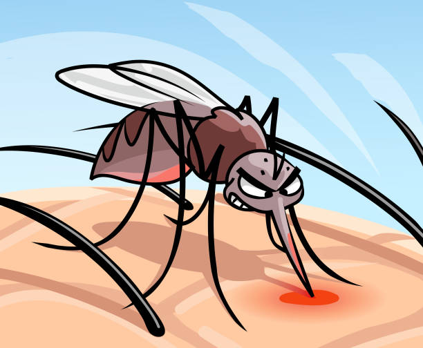 Mosquito Sucking Blood Stock Illustration - Download Image Now - Mosquito  Bite, Cartoon, Mosquito - iStock