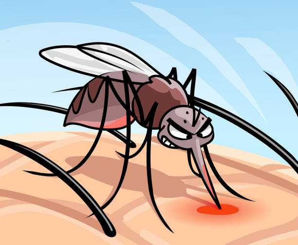 Mosquito Sucking Blood Stock Illustration - Download Image Now - Mosquito Bite, Cartoon, Mosquito - iStock Mosquito Sucking Blood Stock Illustration - Download Image Now - Mosquito Bite, Cartoon, Mosquito - iStock