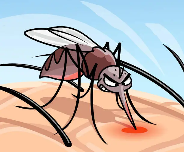 Vector illustration of Mosquito Sucking Blood