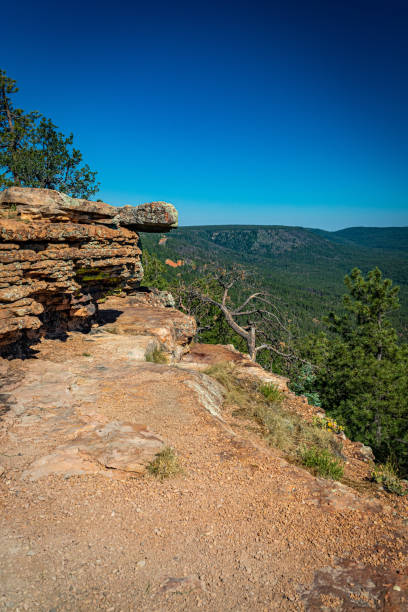 istock Mogollon Rim in Arizona 1266938043