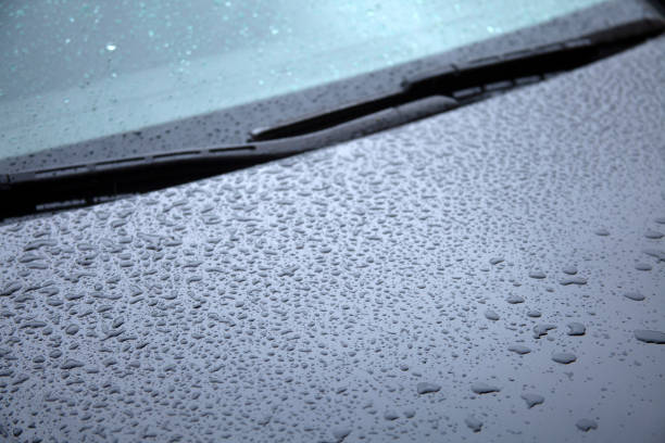 istock Water drops collect on top of metallic car surface 1266946277