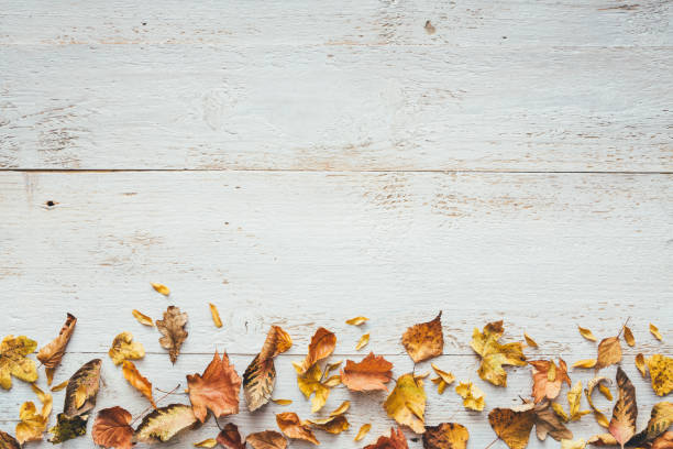 istock Dry Autumn Leaves On White Planks 1266946750