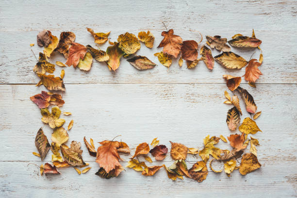 istock Dry Autumn Leaves On White Planks 1266946761