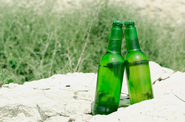 istock Two bottle of light beer on the rocks.Empty space.Relaxing and cold drinks 1266948299