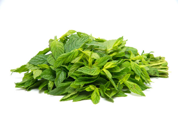 istock Fresh spearmint leaves isolated on the white background. 1266948364