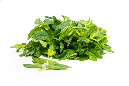 Fresh spearmint leaves isolated on the white background.
