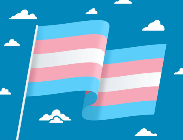 ilustrações, clipart, desenhos animados e ícones de bandeira transgênero - trans