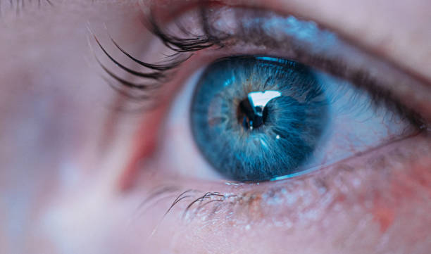 istock Female blue eye macro shot 1266951158