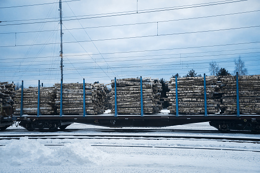 The train carries birch firewood in winter. Railway car carrying birch logs. Firewood preparation.