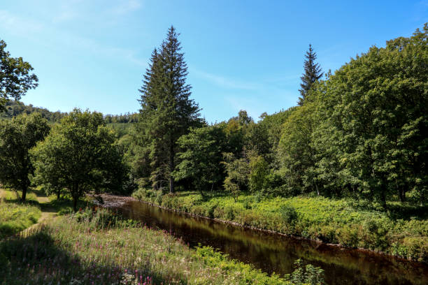 istock River Flowing Through a Rural Scottish Landscape 1266957071