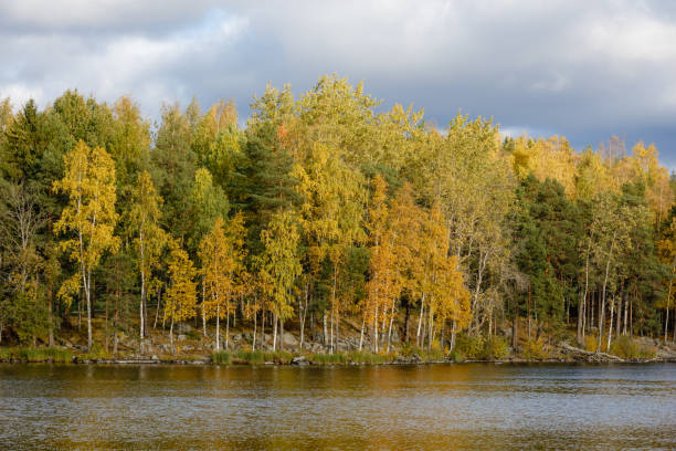istock Autumn color trees and lake landscape 1266958643