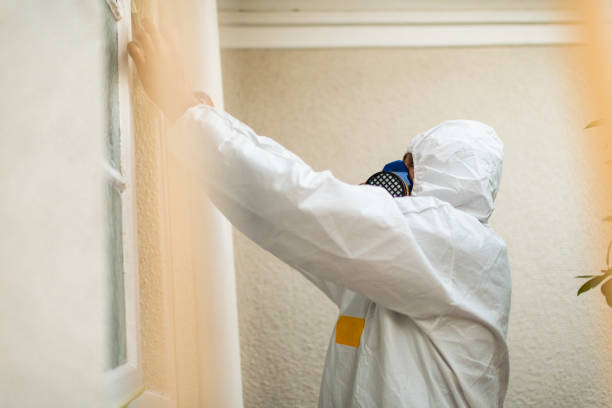 istock Professional in PPE preparing home for decontamination 1266961534