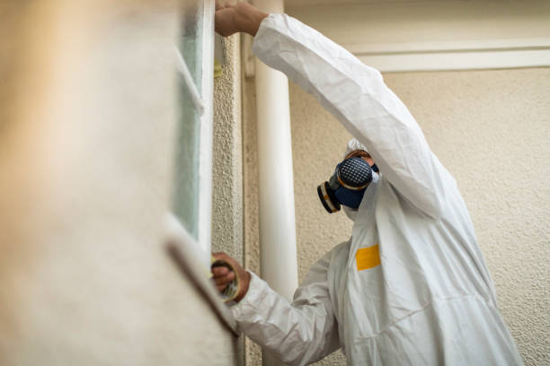 istock Man in PPE taping windows of home shut for disinfecting 1266961628