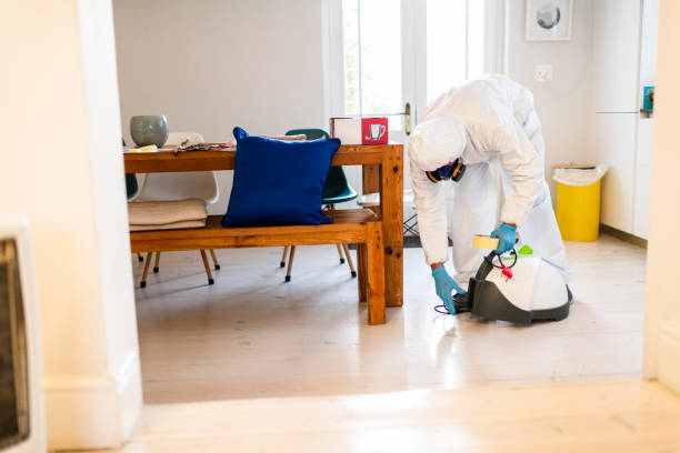 istock Worker in PPE getting ready to disinfect house 1266961770