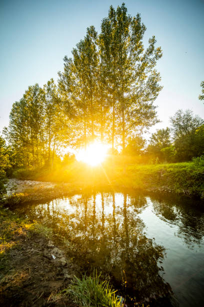 Sunset over a faster mountain river