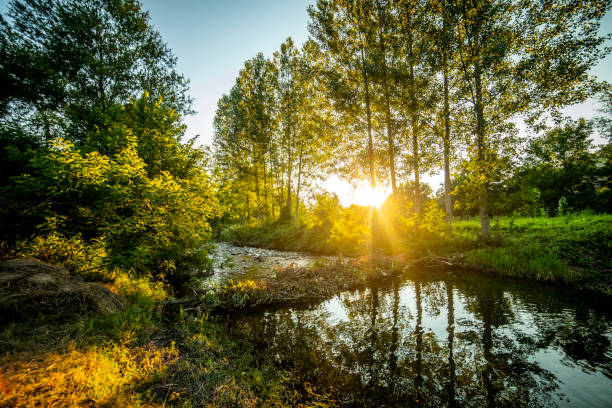 istock A river in Eastern Europe - Sunset over a faster mountain river 1266962802