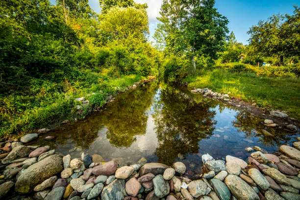 A stream with man-made fish ladders gently meanders through the forest in Western Maryland on a Spring afternoon.