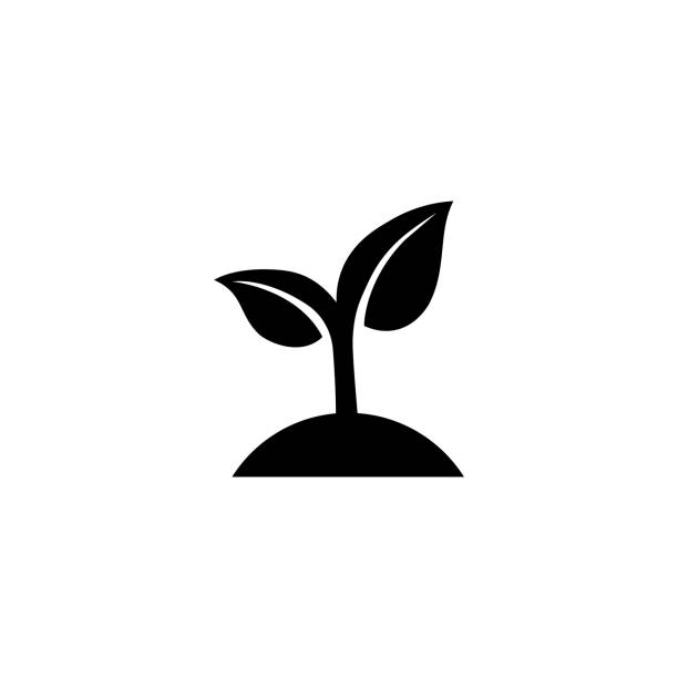 ilustrações, clipart, desenhos animados e ícones de ícone de semeadura. sprout. conceito de ecologia. vetor em fundo branco isolado. eps 10 - vector leaf tree plant