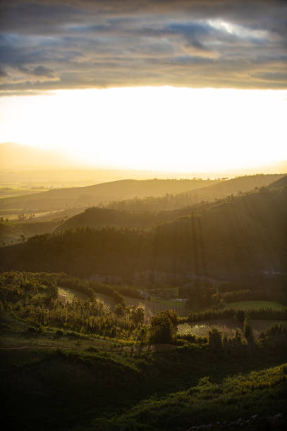 istock Lines on the hills through the forest elevated zoomed out view 1266964908