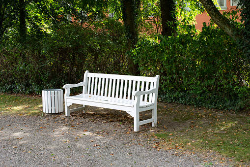 Wooden bench in garden