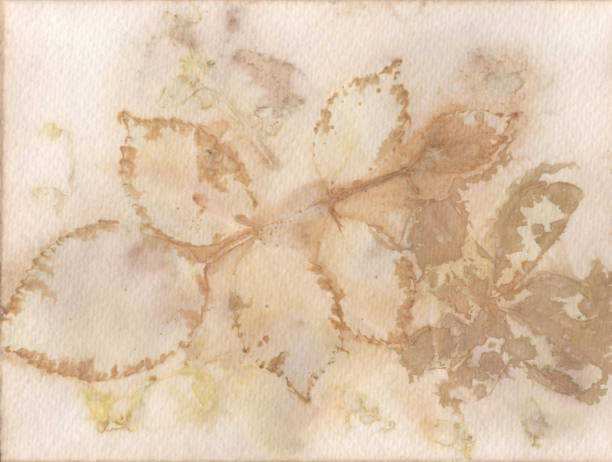 istock Vintage paper texture. Grunge background. 1266967965