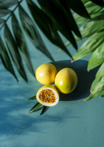 Yellow Maracuja or Golden Passionfruit at green background, top view through the tropical leaves. stock photo
