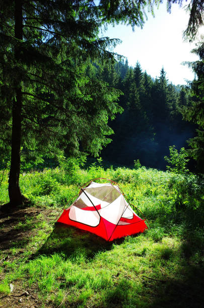 istock Tourist tent in a mountain meadow 1266970921