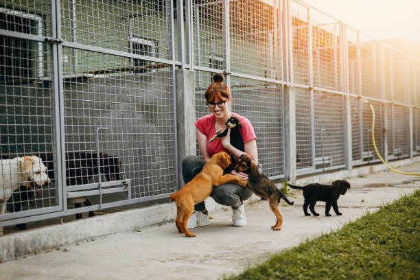 istock Young woman in animal shelter 1266971128