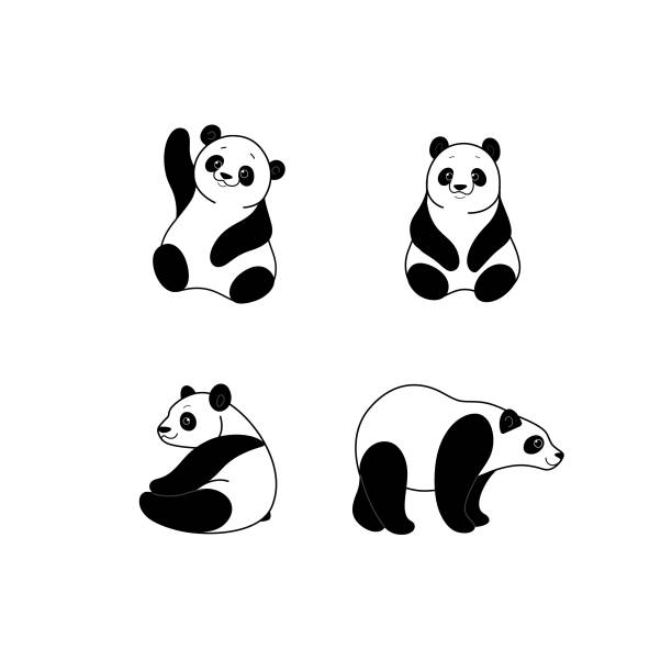 animal Cartoon panda bear sketch line icon. Сute animals set of icons. Childish print for nursery, kids apparel, poster, postcard, pattern. panda species stock illustrations