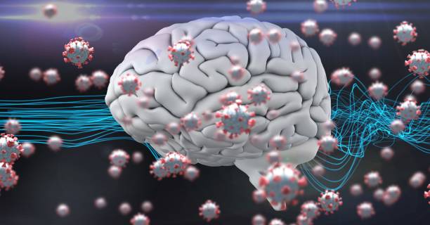 Blue fiber and 3D human brain with coronavirus covid19 cells floating
