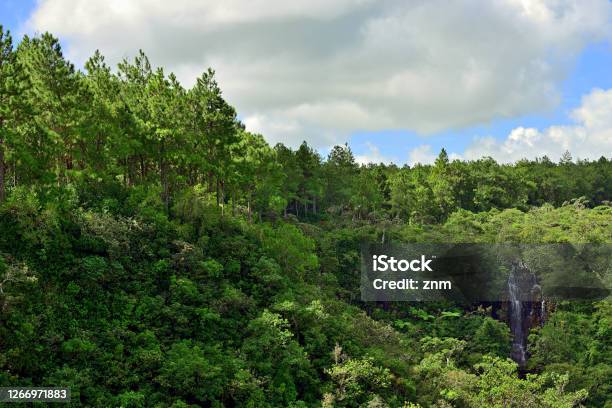 Waterfall In Jungle Mauritius Stock Photo - Download Image Now - Scenics - Nature, Waterfall, Ravine