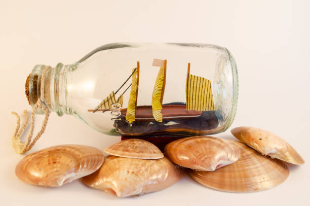 istock Sailingboat in a bottle with brown seashells around isolated on white 1266972806