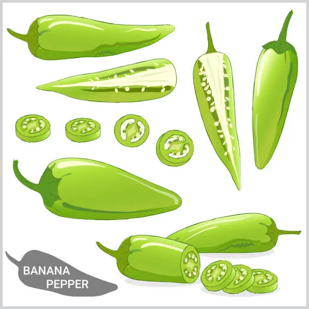Vector illustration of Set of banana pepper illustration in various styles vector format