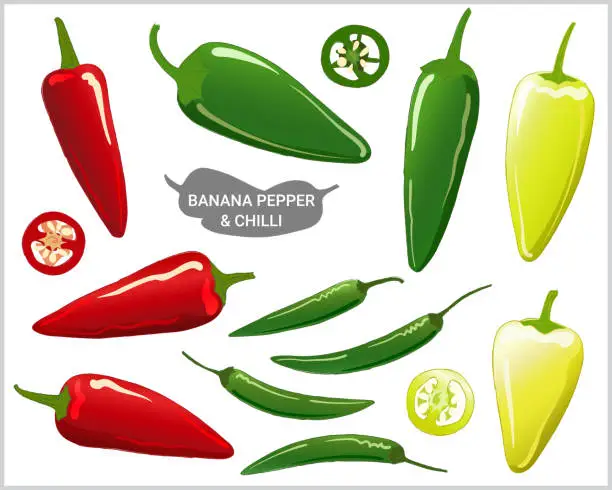 Vector illustration of Set of banana pepper or banana chili illustration in various styles and colors; green, light green and red, vector format