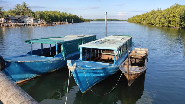 istock photography for mangroves on Bintan Island 1266975016
